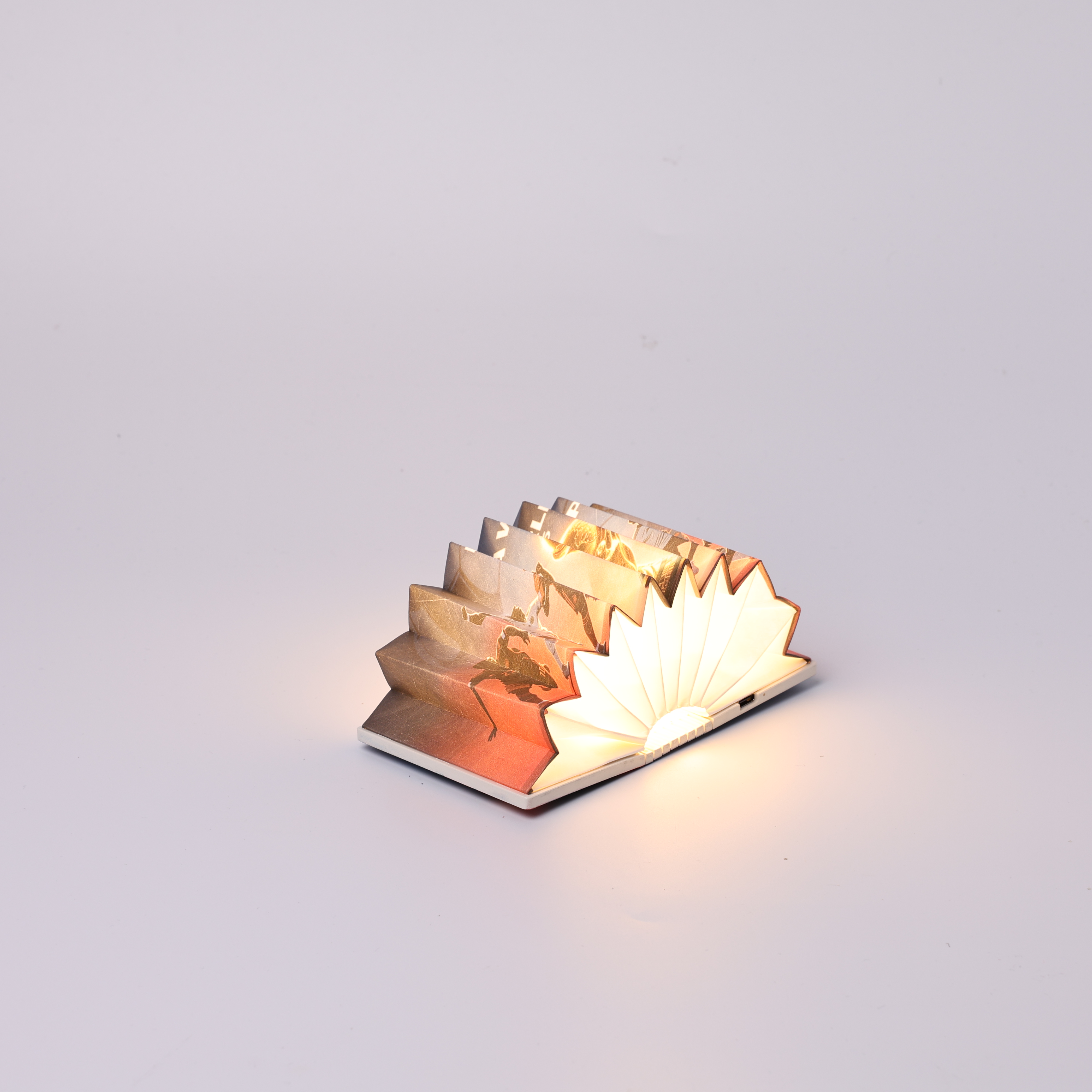 Orbital Ceiling Light